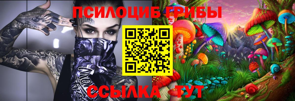 МЕФ Старая Купавна